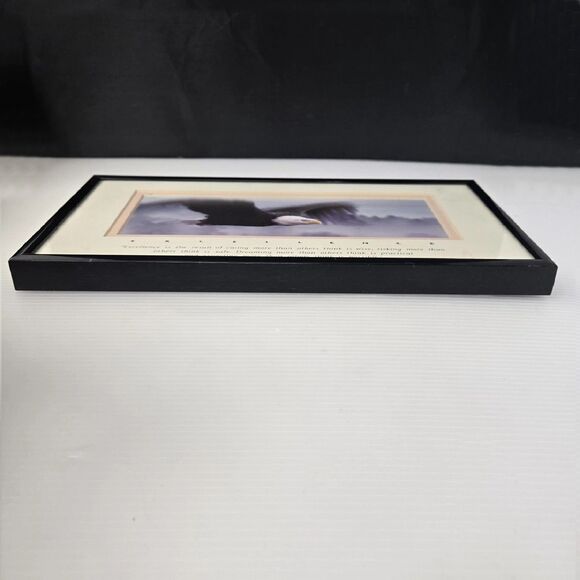 Excellence King Of The Skies Eagle Framed Photo Art Frank Oberle Photography - Picture 13 of 13